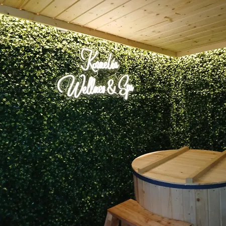 Δωμάτια σε οικογενειακή κατοικία Goscinne Kornelia- Jacuzzi, Sauna ! Biały Dunajec